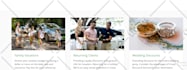 do website design, website development, custom website for your business