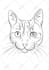 draw a minimalist pet remembrance line art from photo