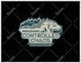 do professional embroidery digitizing in few hours