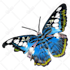 make transparent, png background within 2 hours