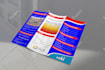 design a professional trifold or bifold brochure