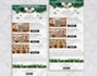 design responsive mailchimp email template