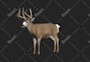 create 3d models and textures of any type