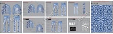design unique trendy denim jeans, denim jacket, denim shorts