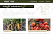 fix wordpress bugs and customize themes and plugins