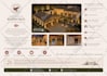 design professional brochure and flyer within 24 hours