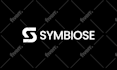 create a professional logo design for your business