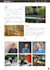 design or revamp your wix website with unlimited revisions