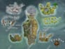 make maps for tabletop, boardgames and artwork for books