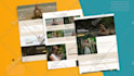 develop wix website design, wix studio website, redesign wix website