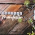 design 5 beautiful instagram or any social media posts