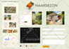 design, develop, debug and deploy wordpress website
