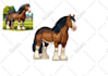 design children book illustration and cover children story book illustration
