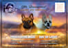 design premium stud flyers and breeding banners