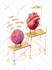 paint anatomic illustration with watercolor