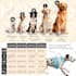 design professional layouts diagrams graphs tables charts