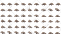 make rpg maker mv mz sideview battler sprites