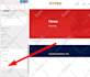 fix wordpress issues errors bugs or update your website