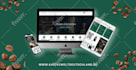 do professional shopify website development and store design