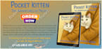 do kindle book promotion or regular book promotion
