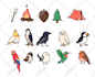 draw cute animal illustrations