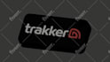 design custom 3d models, statues for printing and painting