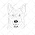 draw vector line art for your pet 24 hours