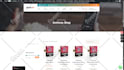 fix critical, fatal and email errors of wordpress in 24 hour