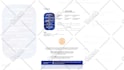 design a business flyer, event flyer, marketing flyer and door hanger design