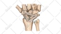 do professional medical illustrations