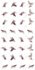 draw or animate pixel creature or monster