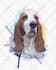 do a custom pet portrait, dog portrait, cat portrait