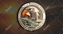 design custom military logo patch in 24 hours