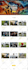design simple wordpress website at very cheap rates, wordpress customization