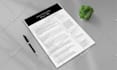 write, edit, update, format and design your professional resume or cv