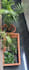 resize or crop images superfast