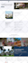 develop any type of professional wordpress website you need