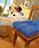 draw a children book illustration