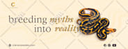 design post banner logo ads 4 facebook instagram youtube