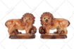 remove background from image using adobe photoshop clipping path