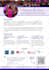 create anything like canva video as canva expert in 24 hours