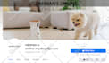 create and optimize chatgpt openai ads to grow your business