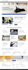 build wordpress website development, business website or wordpress blog website