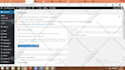 design and develop professional website