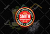 design a professional 3d logo within just 12 hours