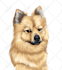 draw a cartoon for your pets in 24 hour