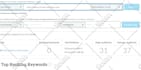 increase your website moz da 50 and moz pa 30