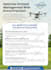 do flyer design, brochure, event flyer design and poster design