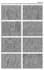 create industry standard professional storyboards