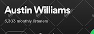 do professional spotify music promotion